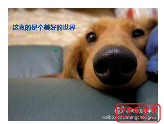 QQ截图20120705160321.png