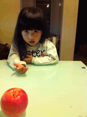 m_51ec12c7627a0.gif