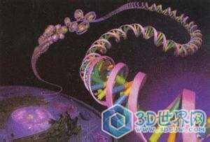 生命起源2.jpg