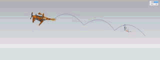 小袋鼠.gif