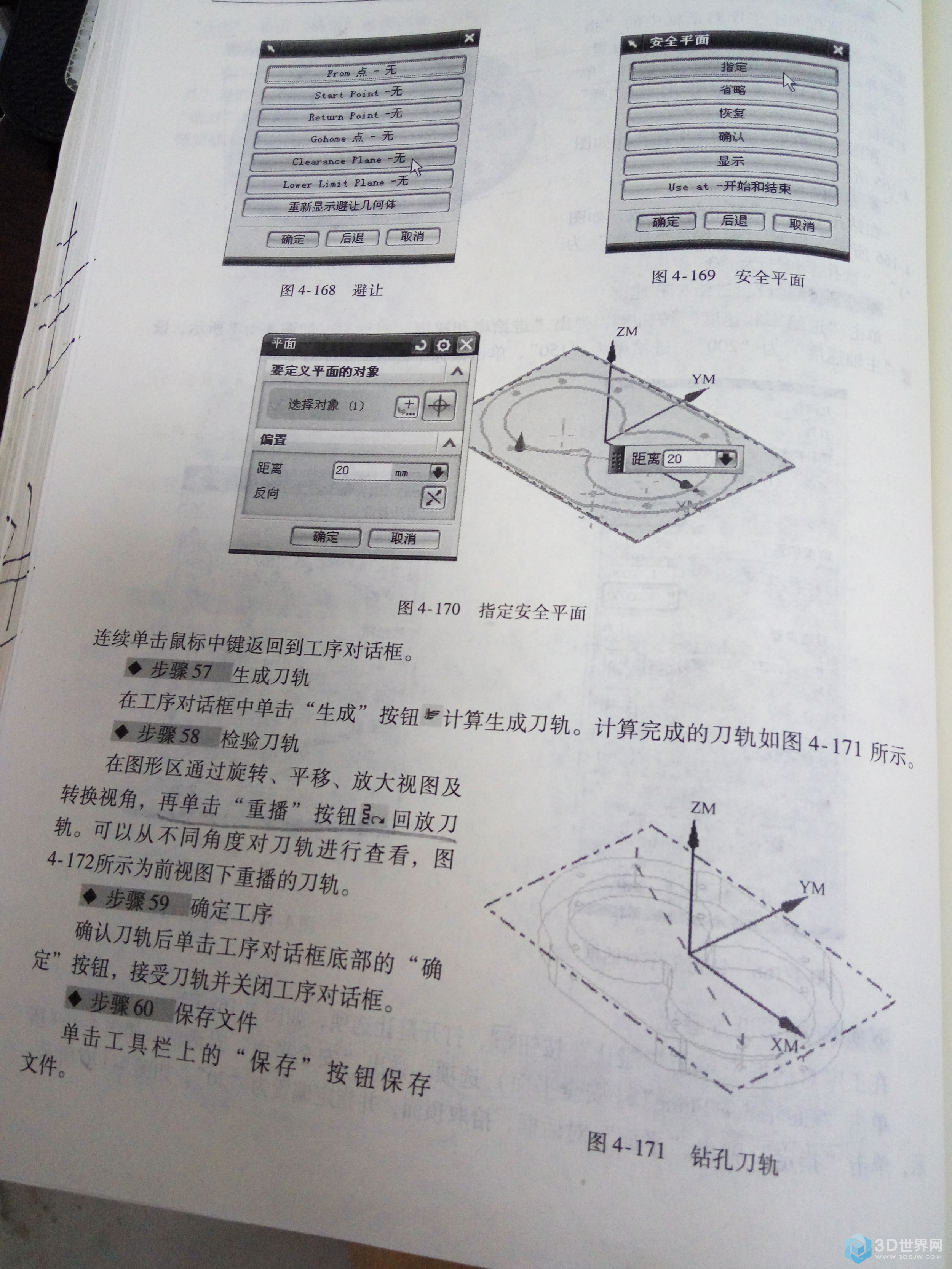 序号十一