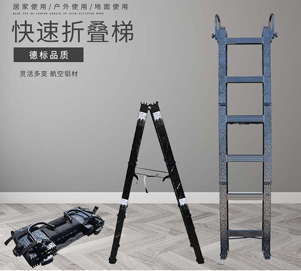 Folding Ladder2.jpg