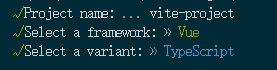创建vite项目选项.png