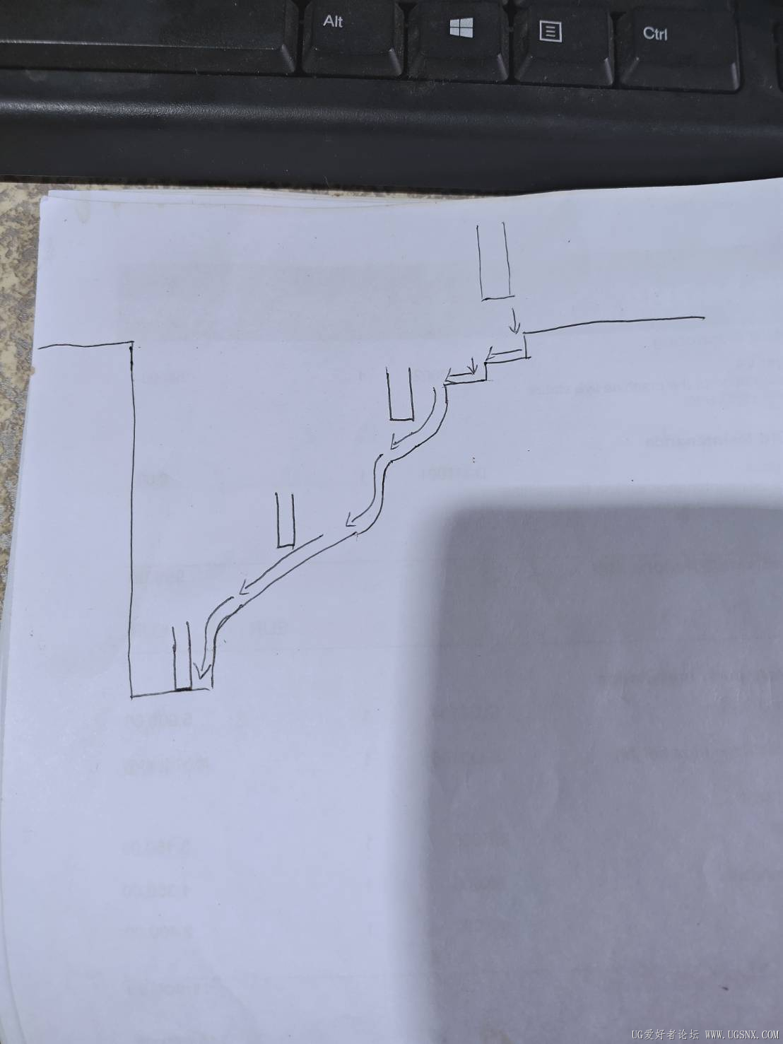 預期路徑