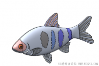 分享一条SolidWorks绘制的鱼