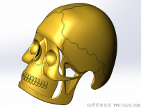 分享一个SolidWorks绘制的雕塑头骨